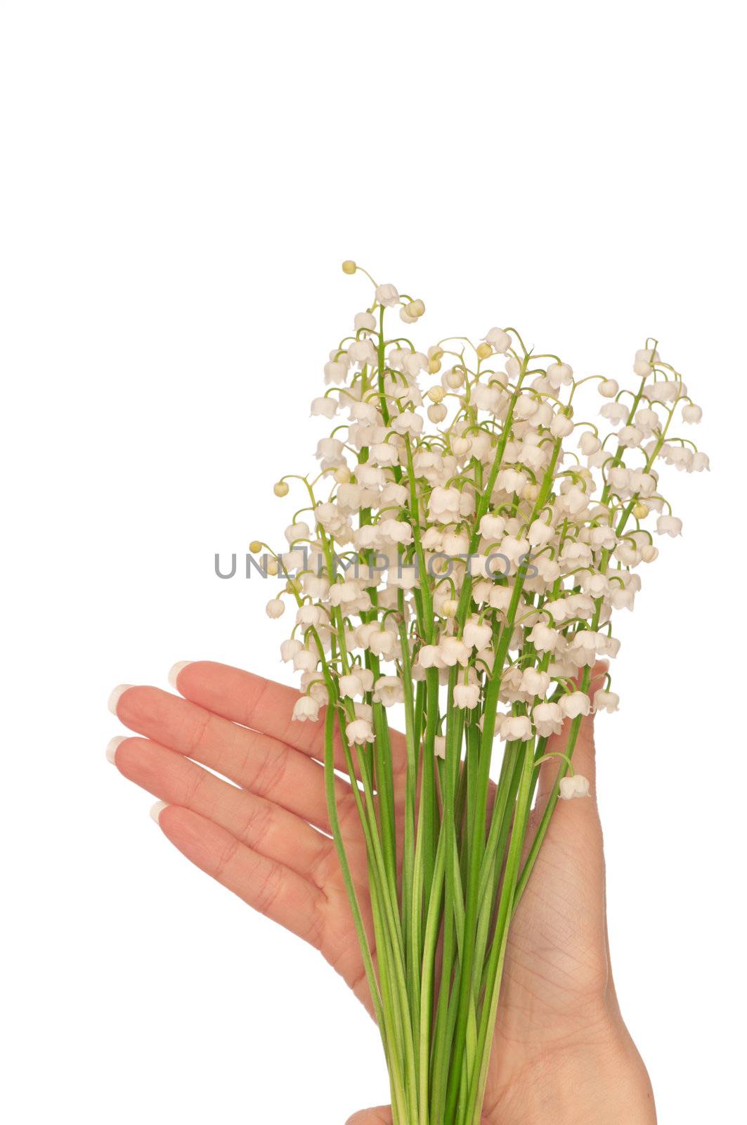 Woman holding lily of the valley in the hand