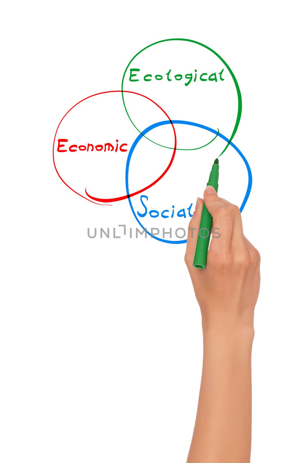 businesswoman drawing diagram with green felt-tip pen at working place