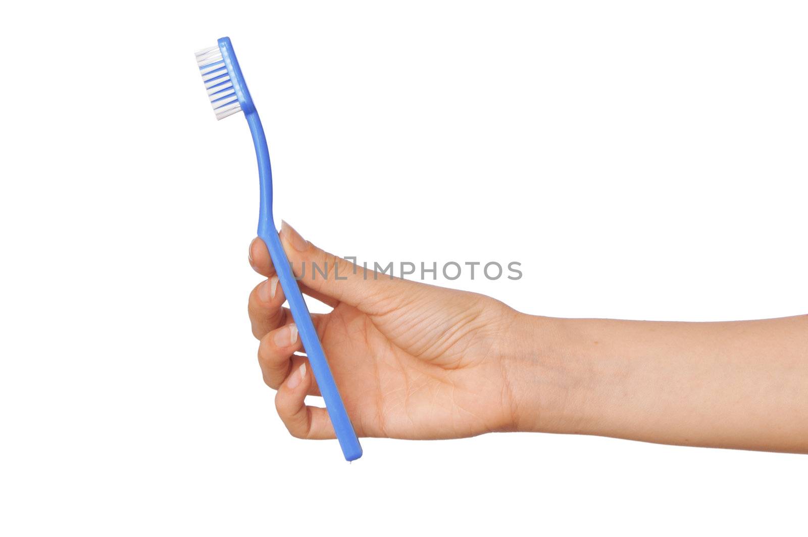 brush for toothpaste at in the girl's hand