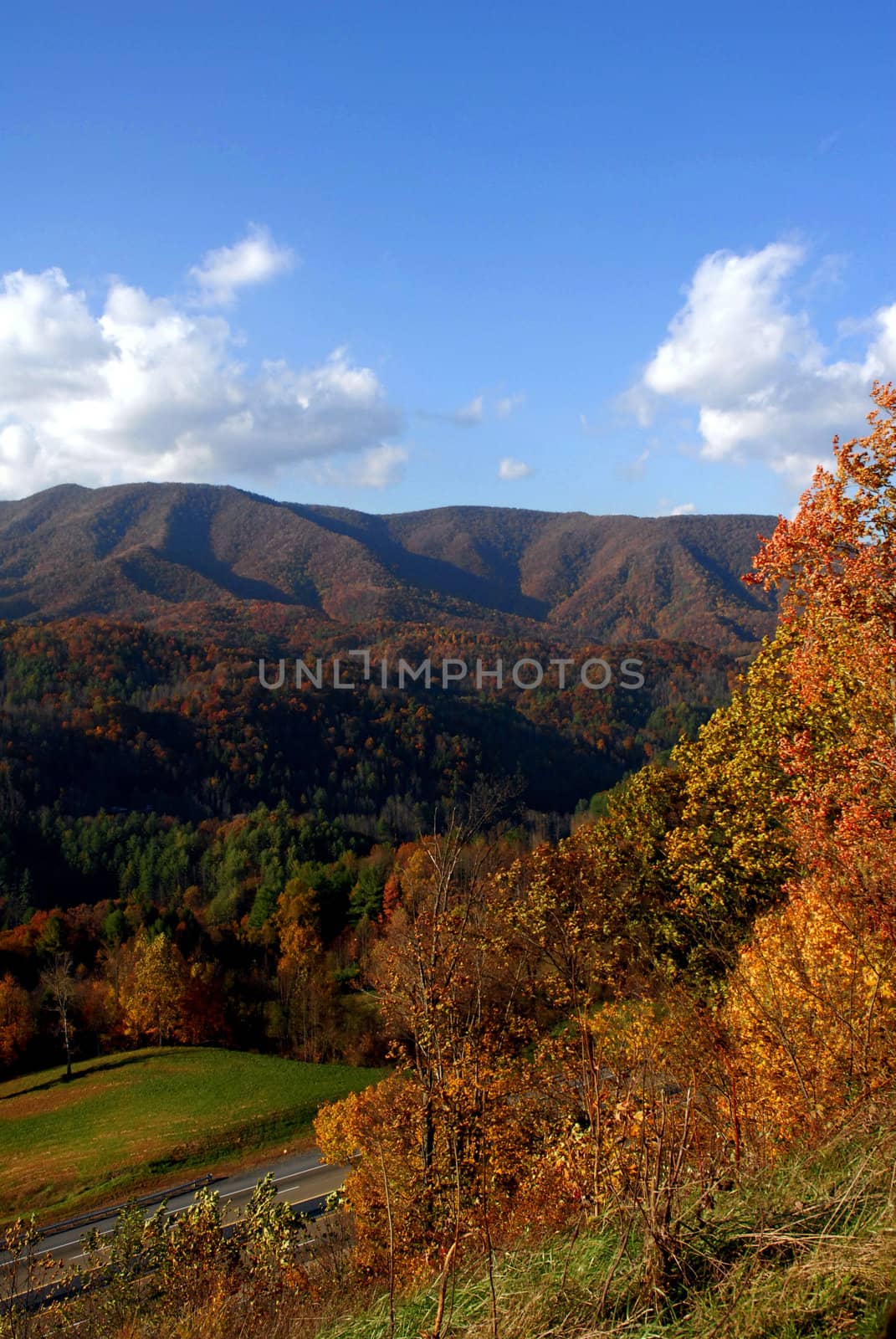 North Carolina in the Fall