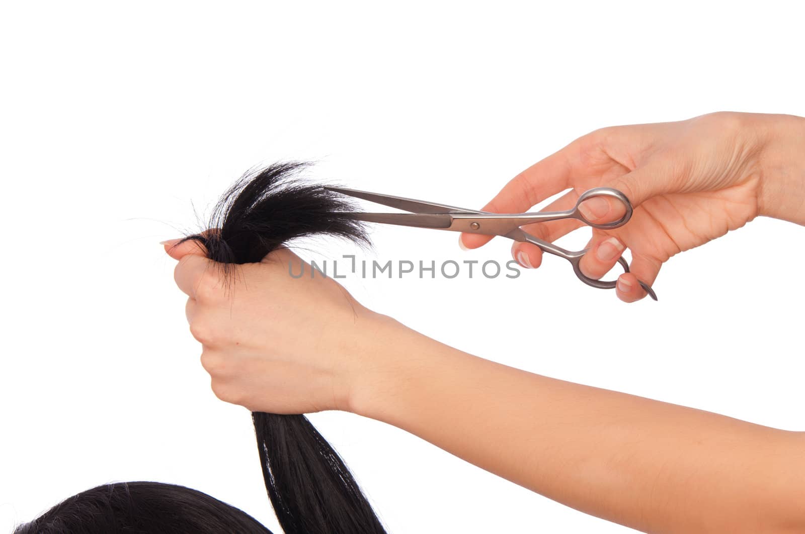 hairdresser cutting young woman with long black hair