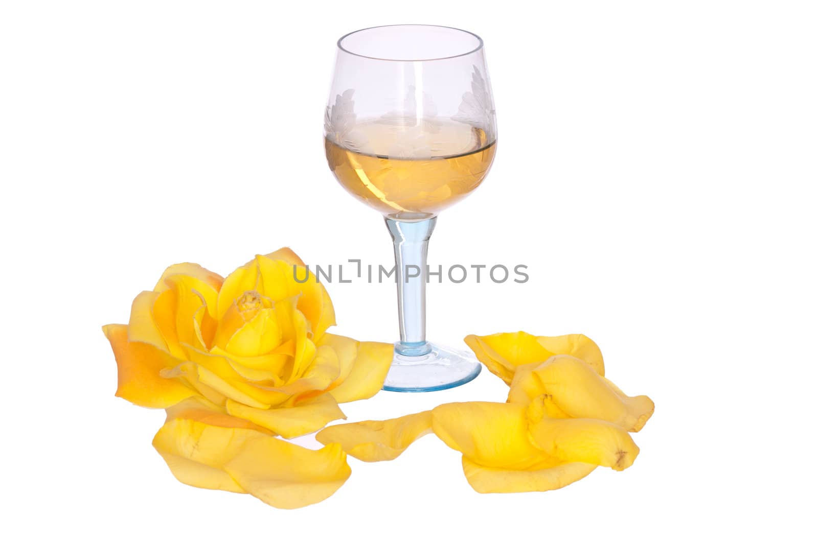tumbler with white wine and yellow rose on the party