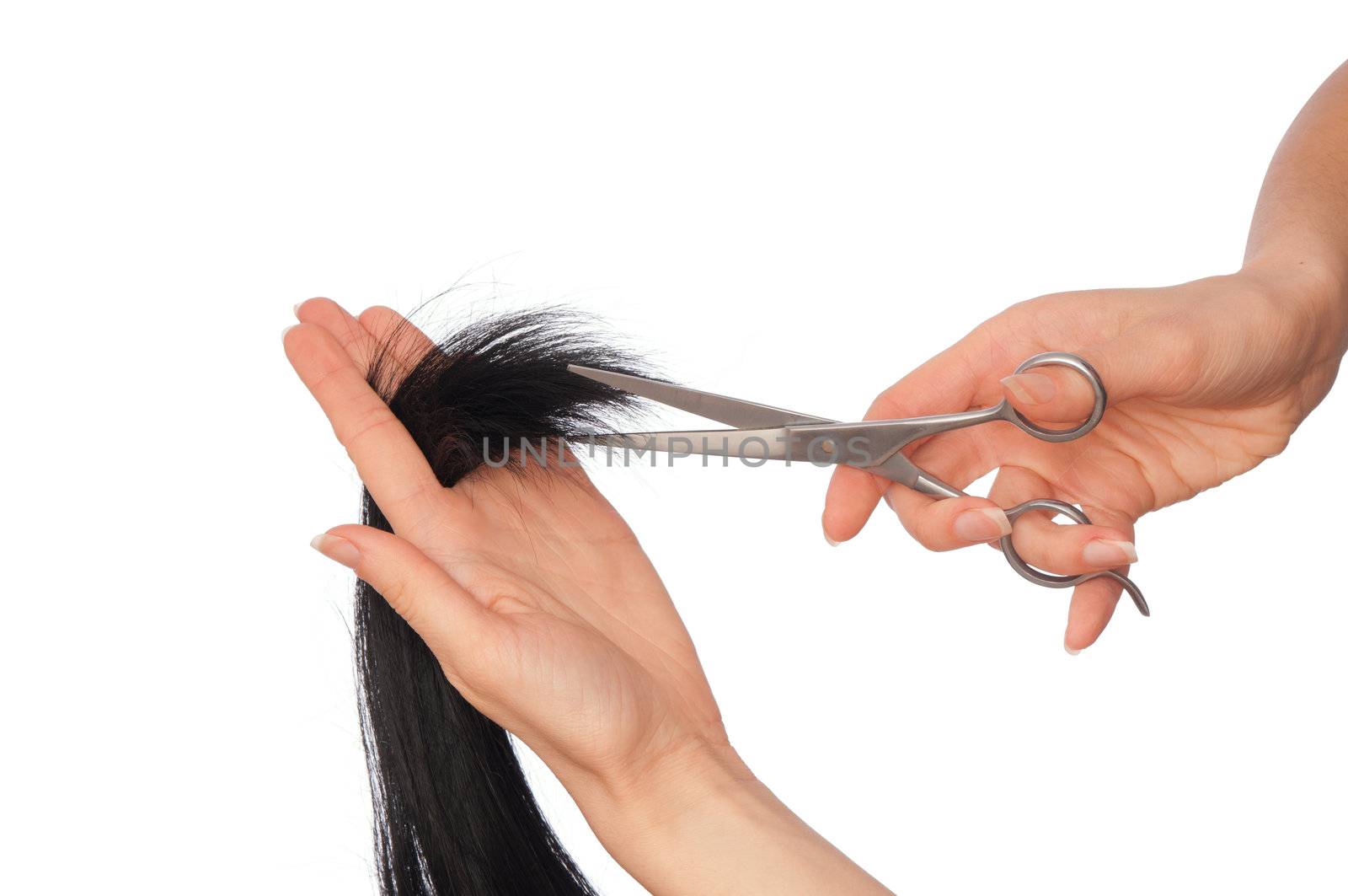 hairdresser cutting young woman with long black hair