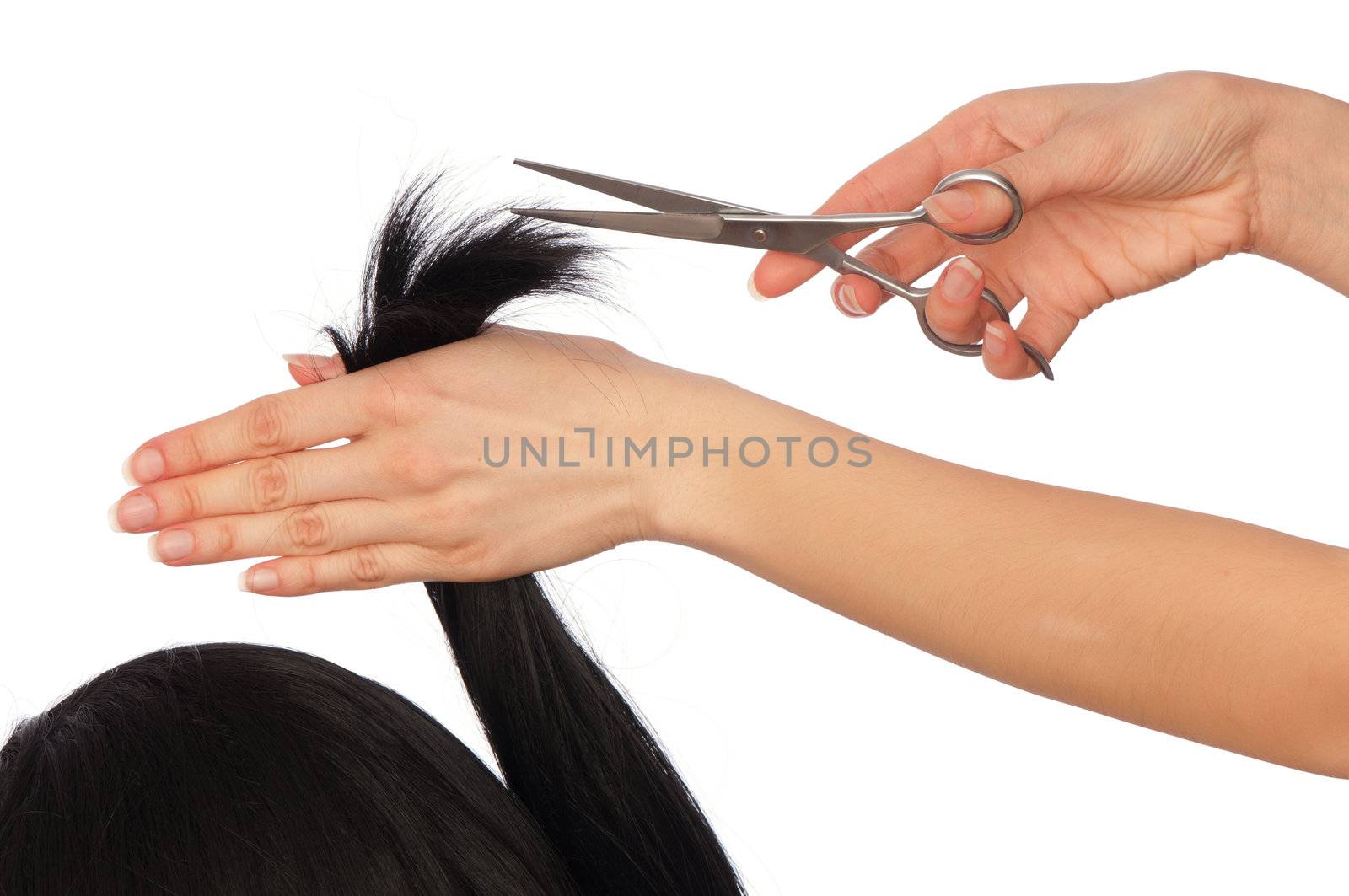 hairdresser cutting young woman with long black hair