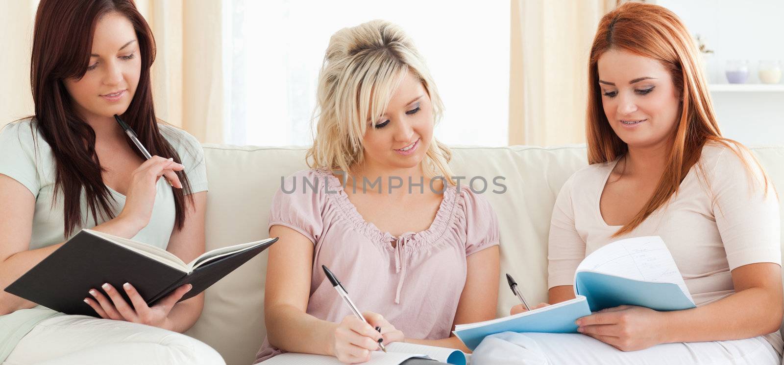 Charming women studying together by Wavebreakmedia
