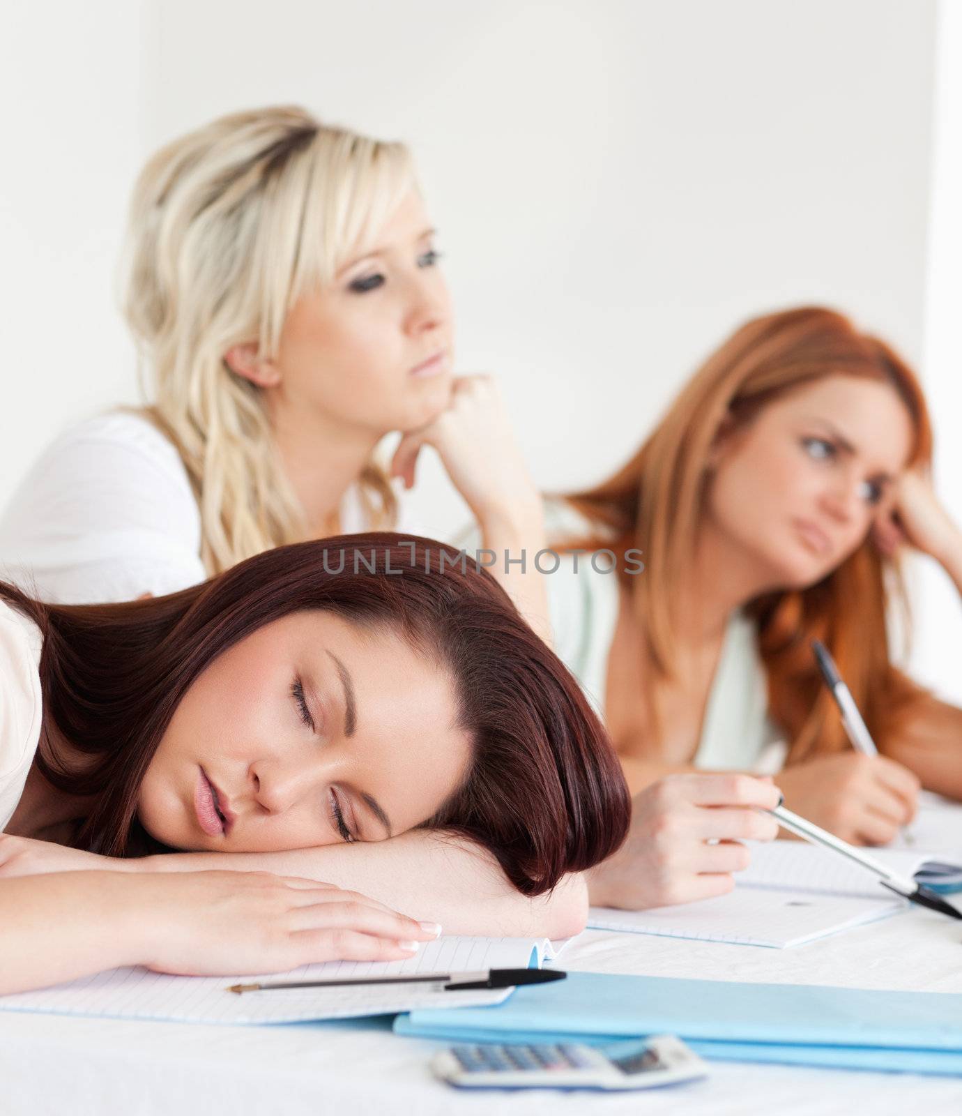 Students one sleeping sitting at a table during class