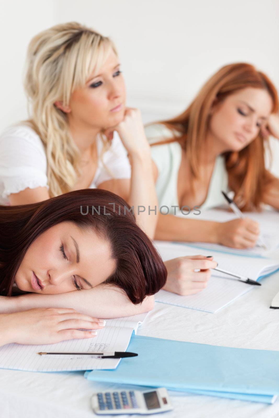 Charming Students one sleeping sitting at a table in class