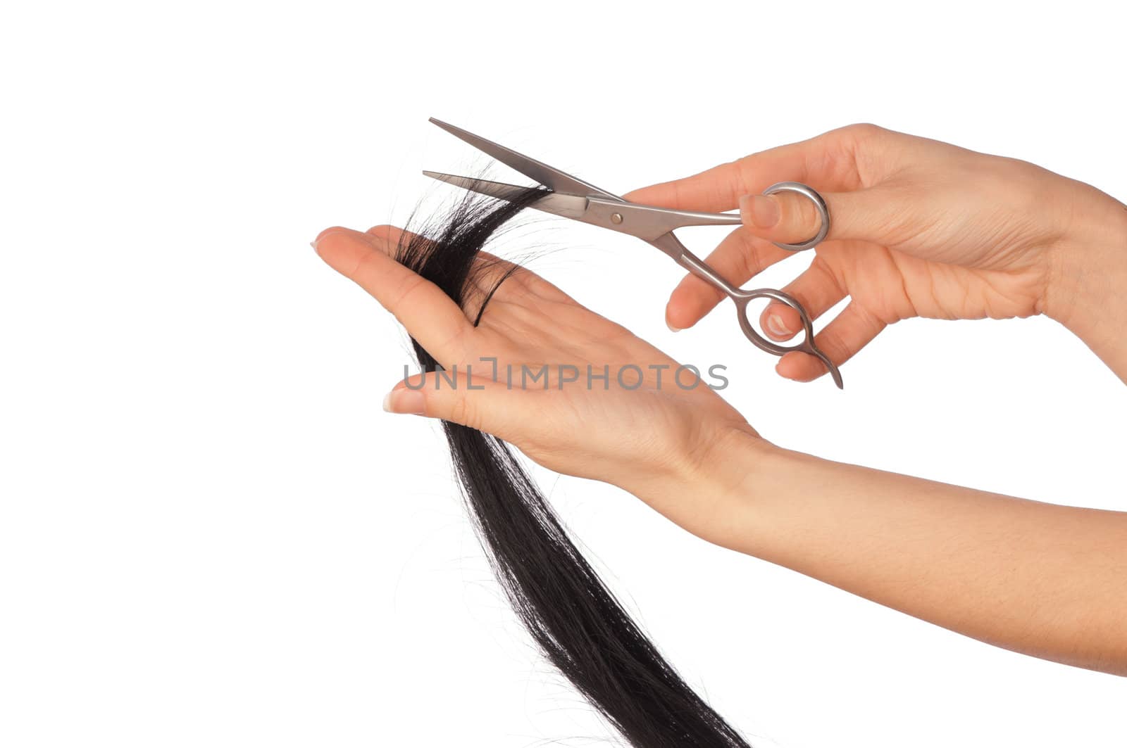 hairdresser cutting young woman with long black hair