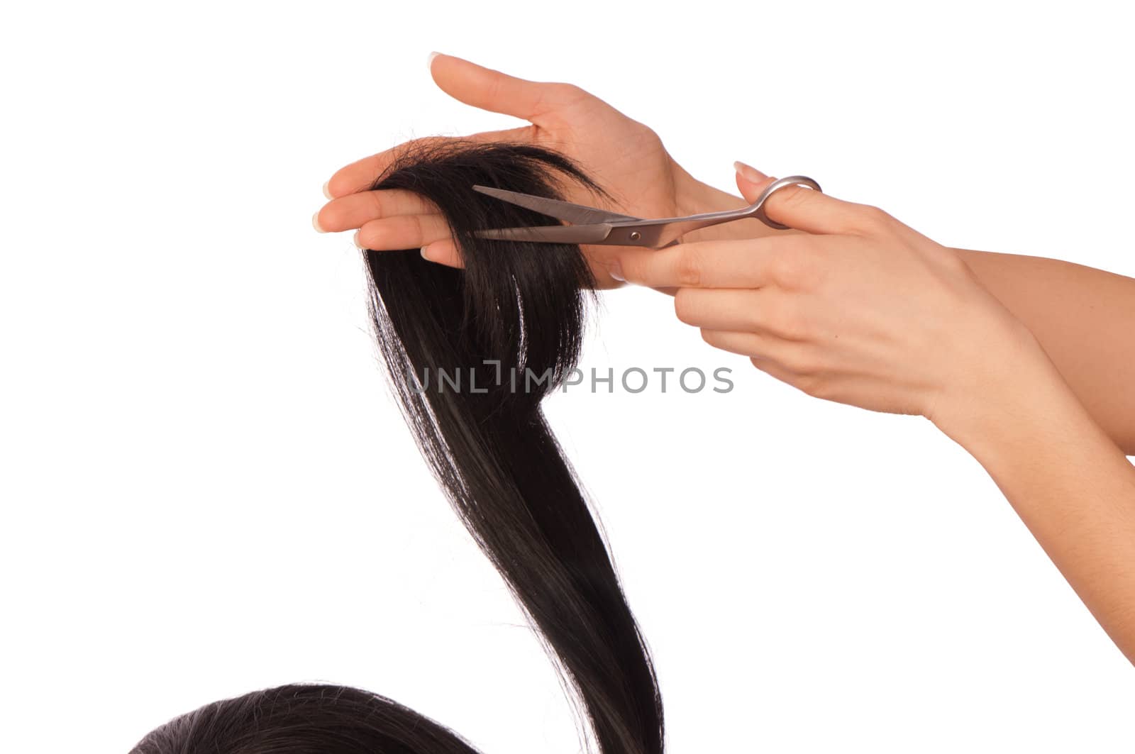 hairdresser cutting young woman with long black hair