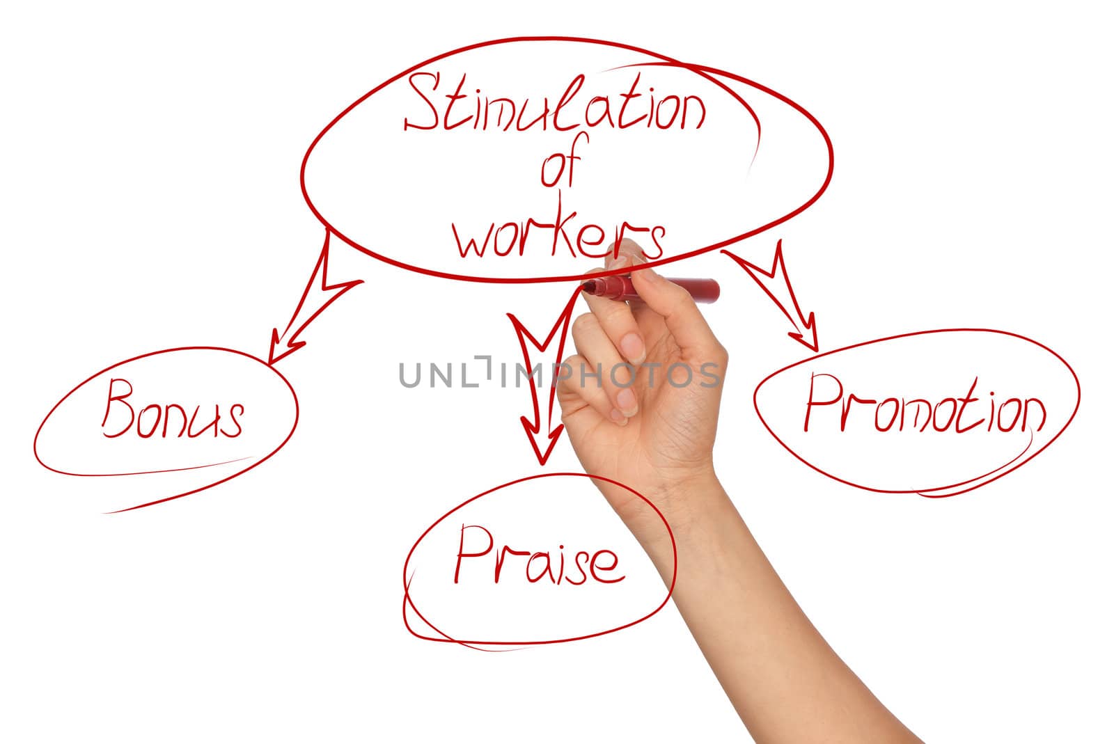 Woman drawing the red scheme of development for business moving