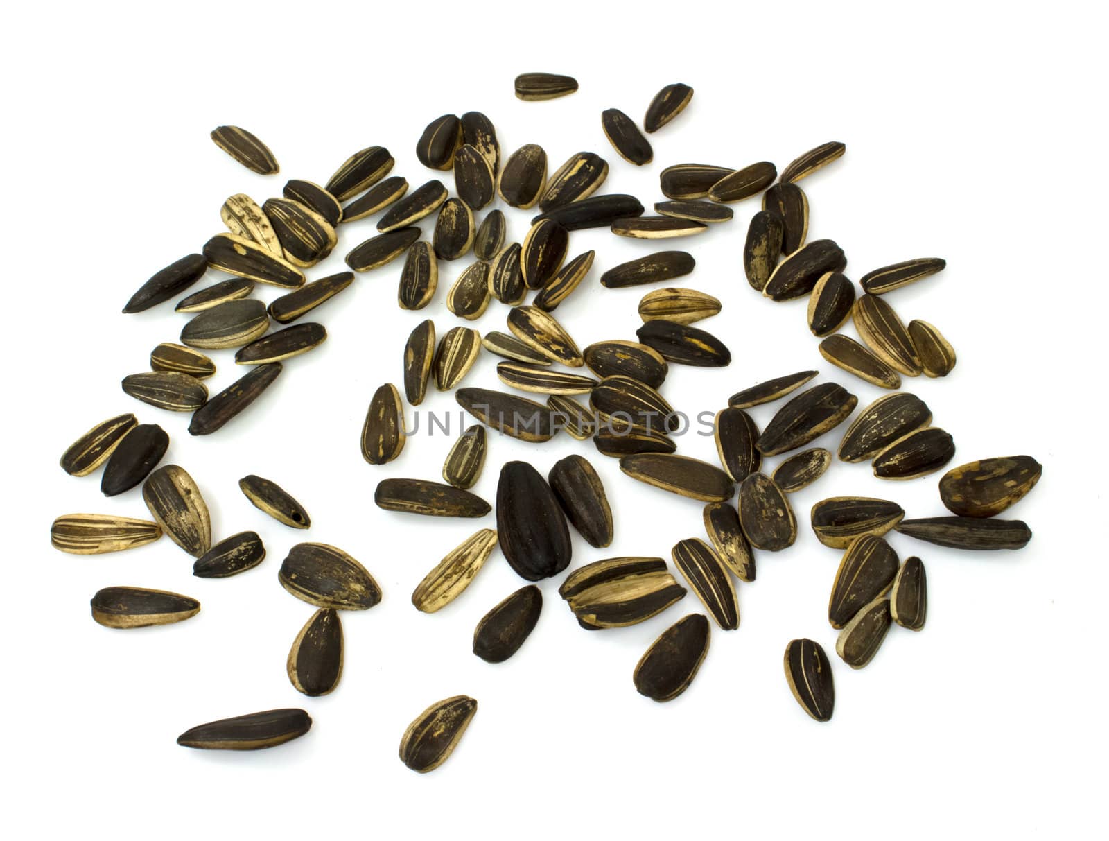 sunflower seeds isolated on white