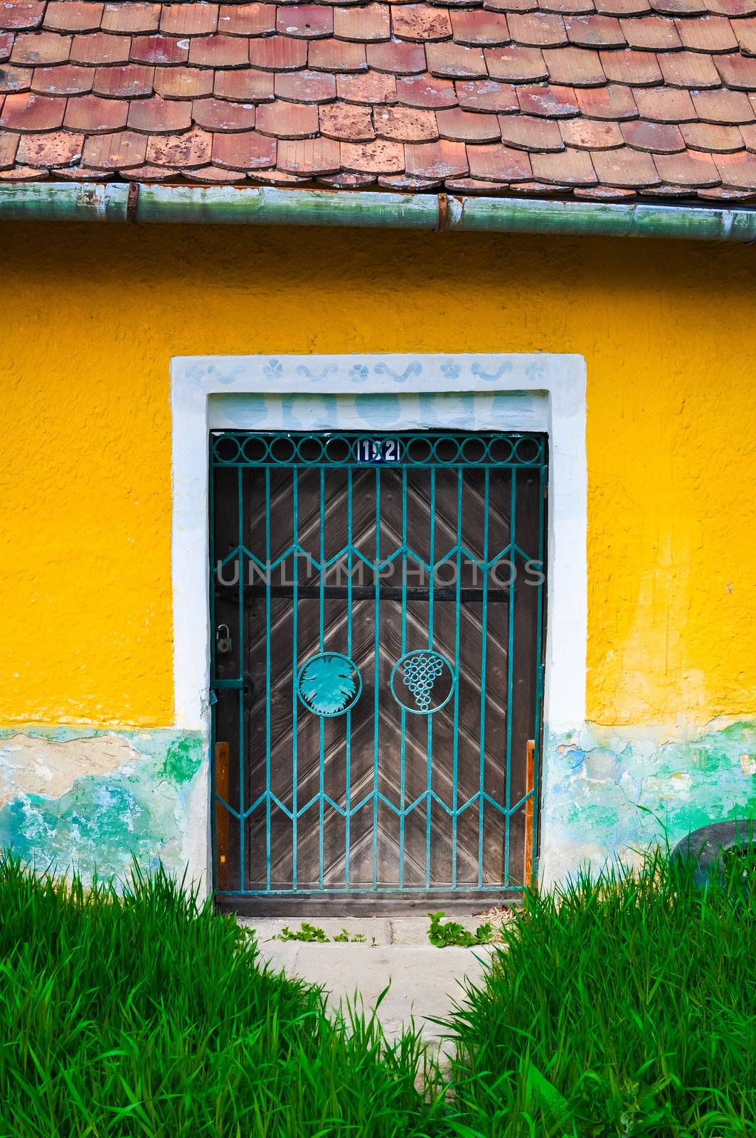 Old rusty door on yellow wall, green grass foreground