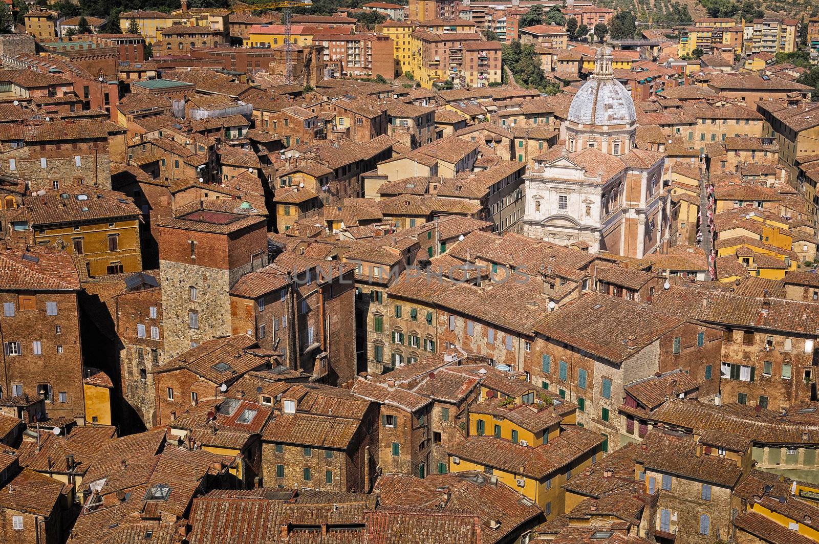 Siena rooftops cityscape view, Tuscany, Italy