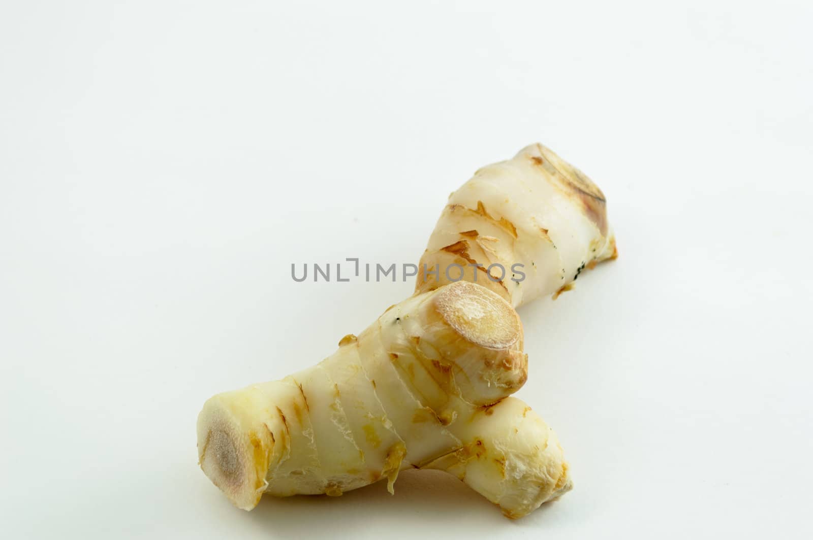 Galangal oil in isolated white background
