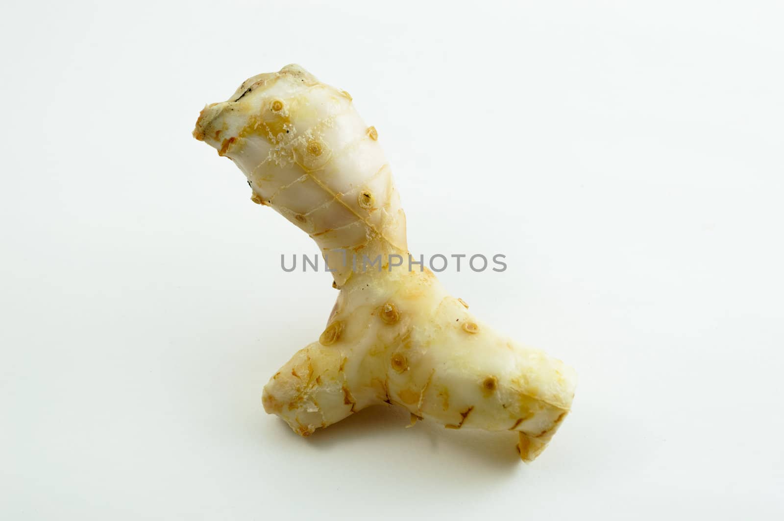 Galangal oil in isolated white background
