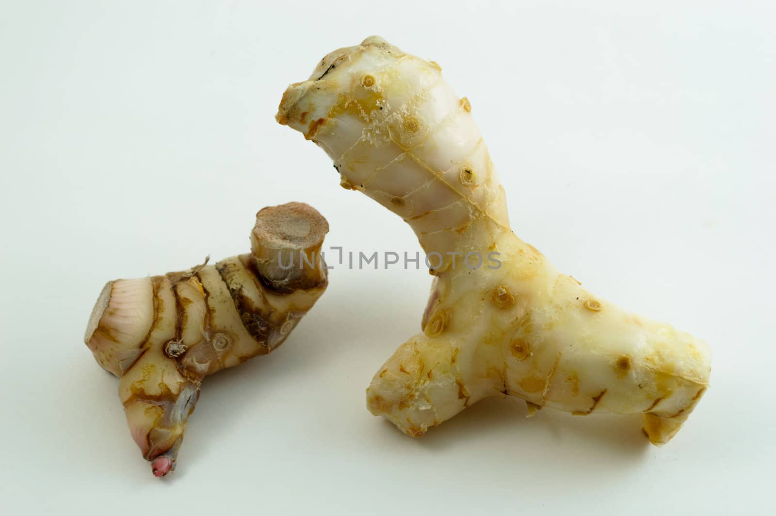 Galangal oil in isolated white background