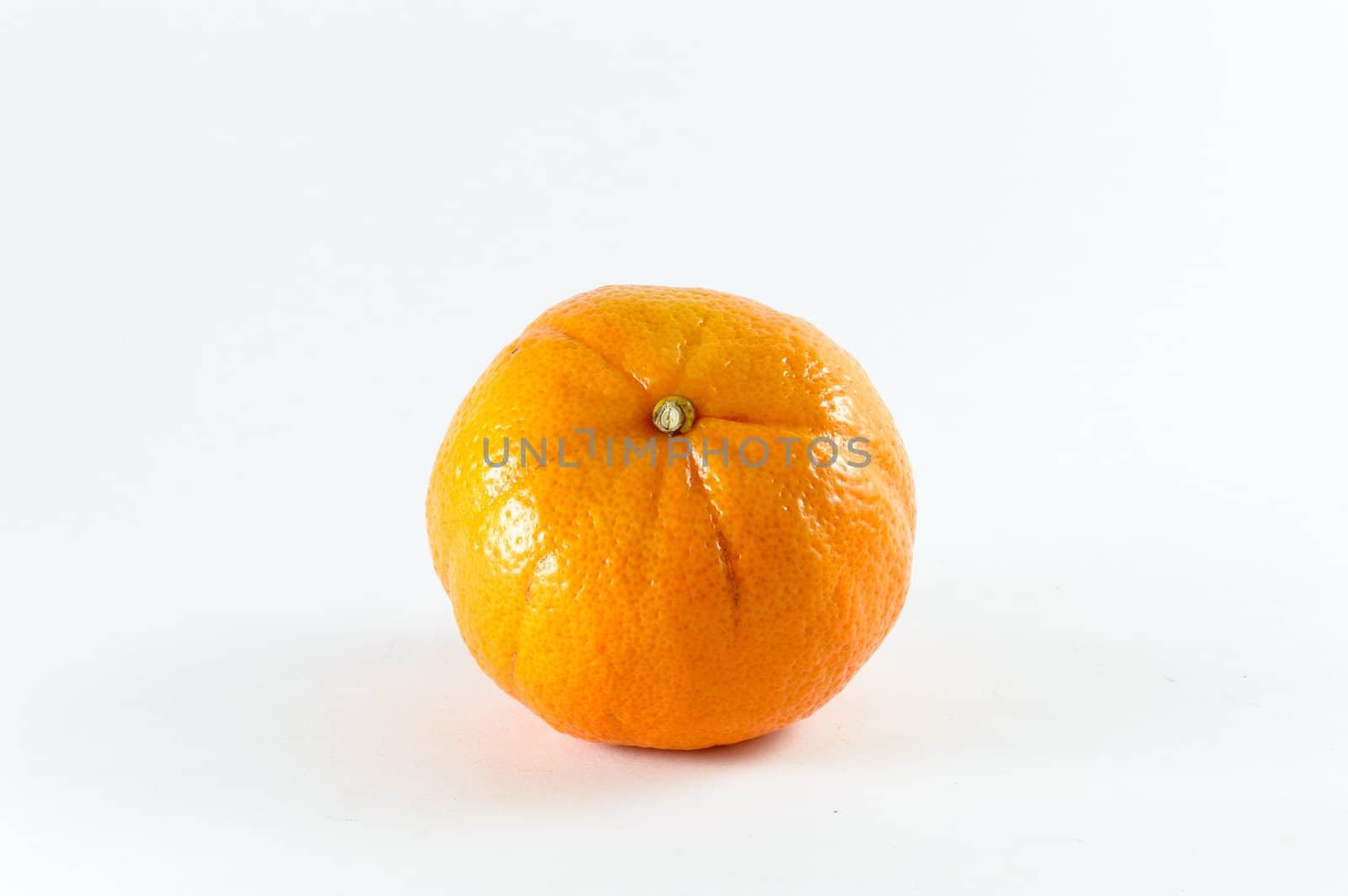 Orange isolated on a white background.