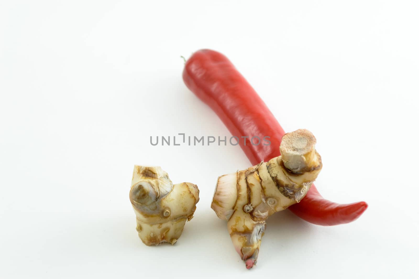 Fresh vegetables on a white background.