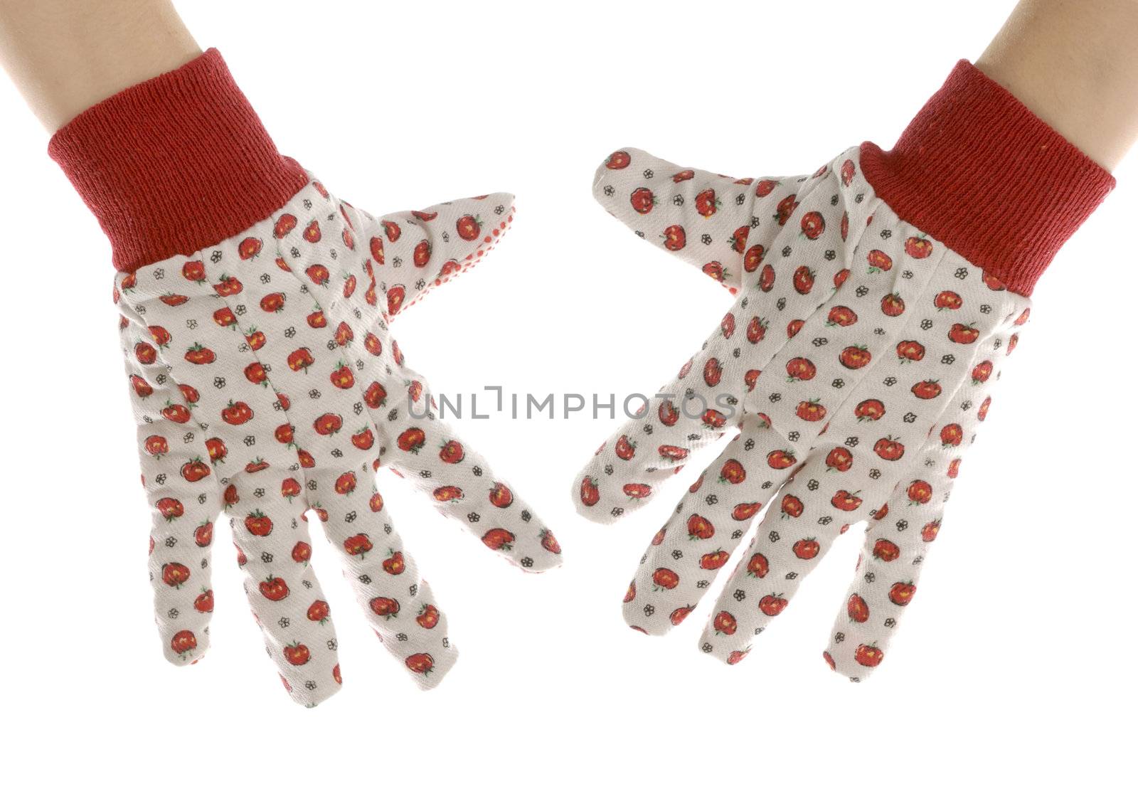 hands wearing womens gardening or work gloves isolated on white background