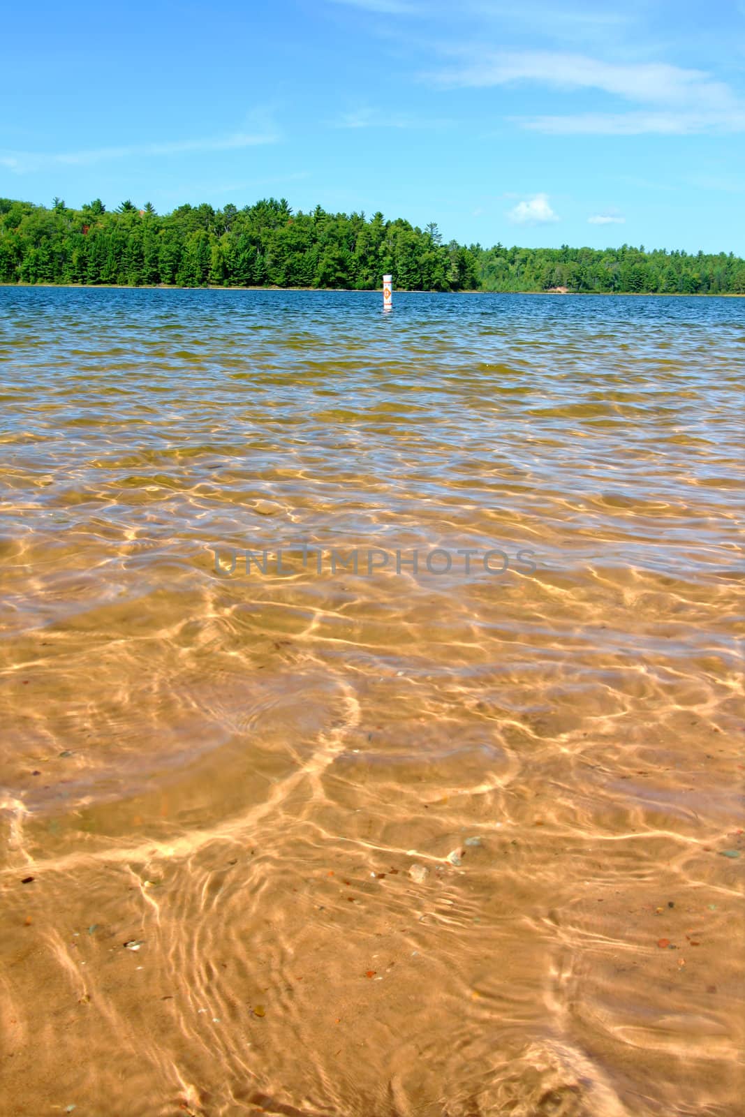 Beautiful swimming beach of a northwoods Wisconsin Lake.