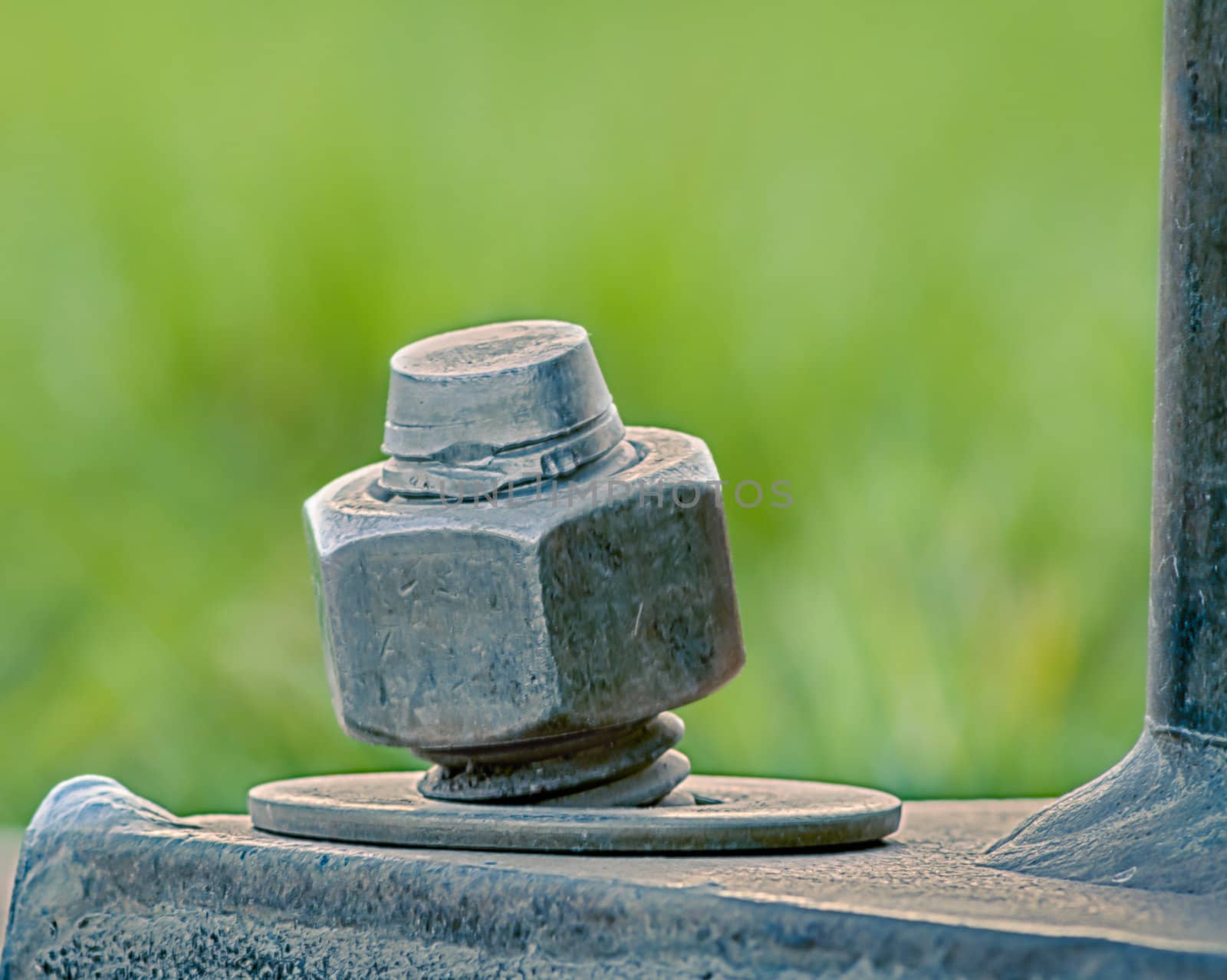 Upright Lag Bolt, Nut, and Washer by wolterk