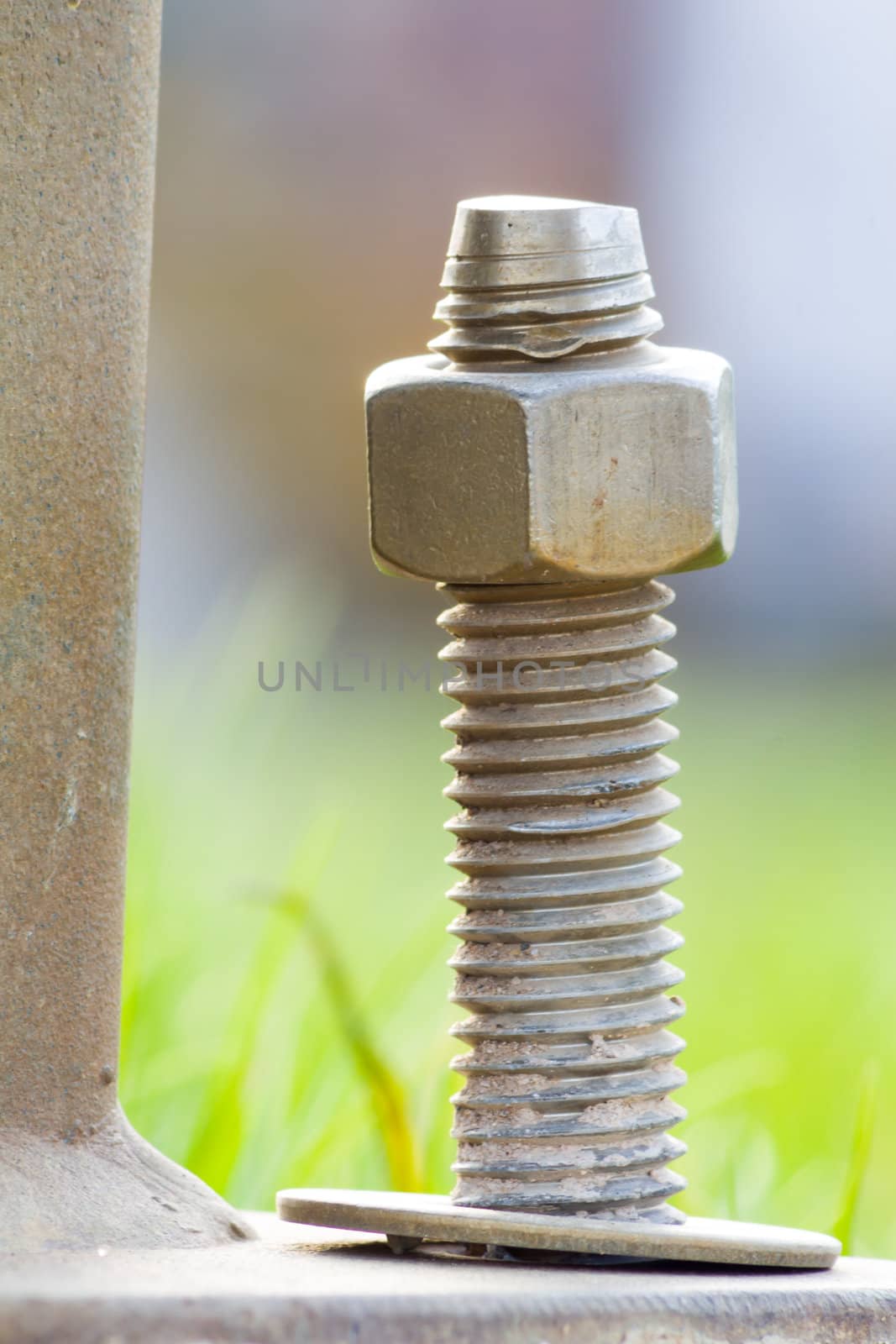 Worn Upright Lag Bolt, Nut, and Washer