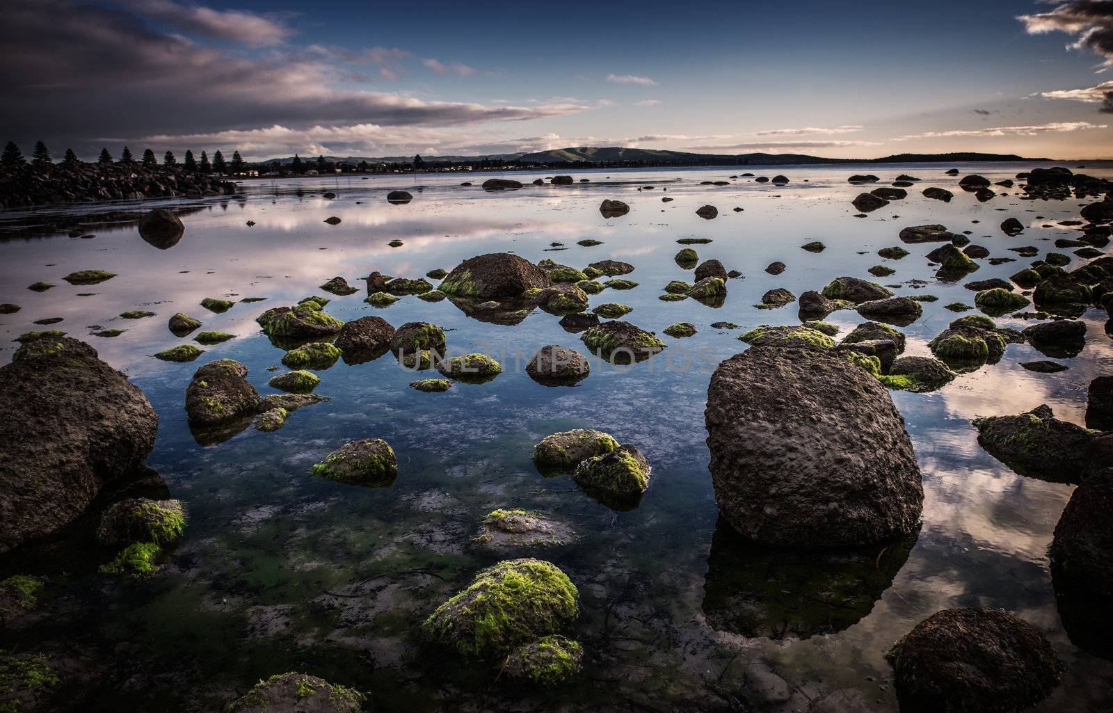 Moss covered rocks at sunrise. The water is still allowing both reflections of the sky and being able to see through to the bottom of the ocean.