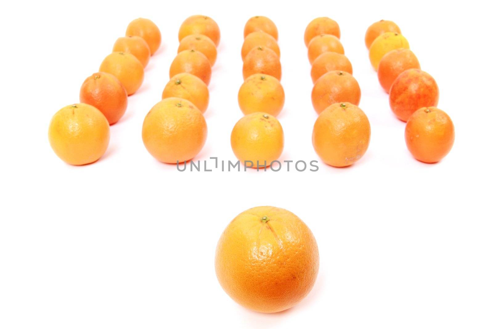 oranges arranged on a white background symbolizing teamwork, leadership............