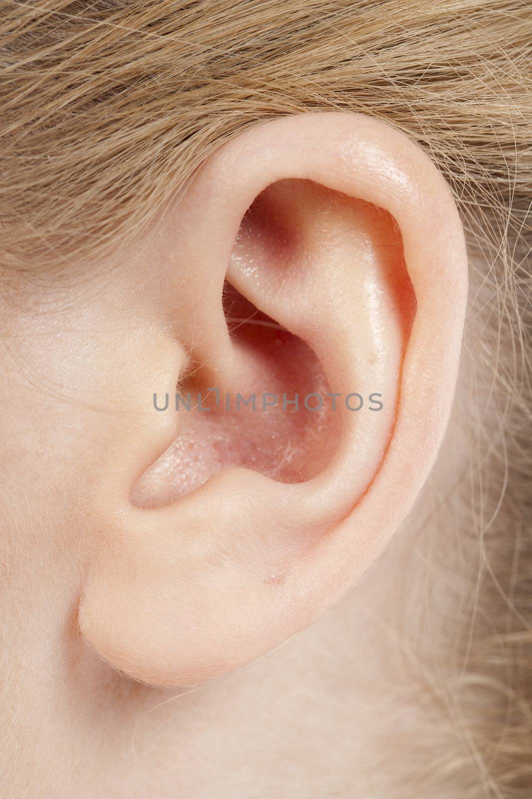 Close up image of female ear