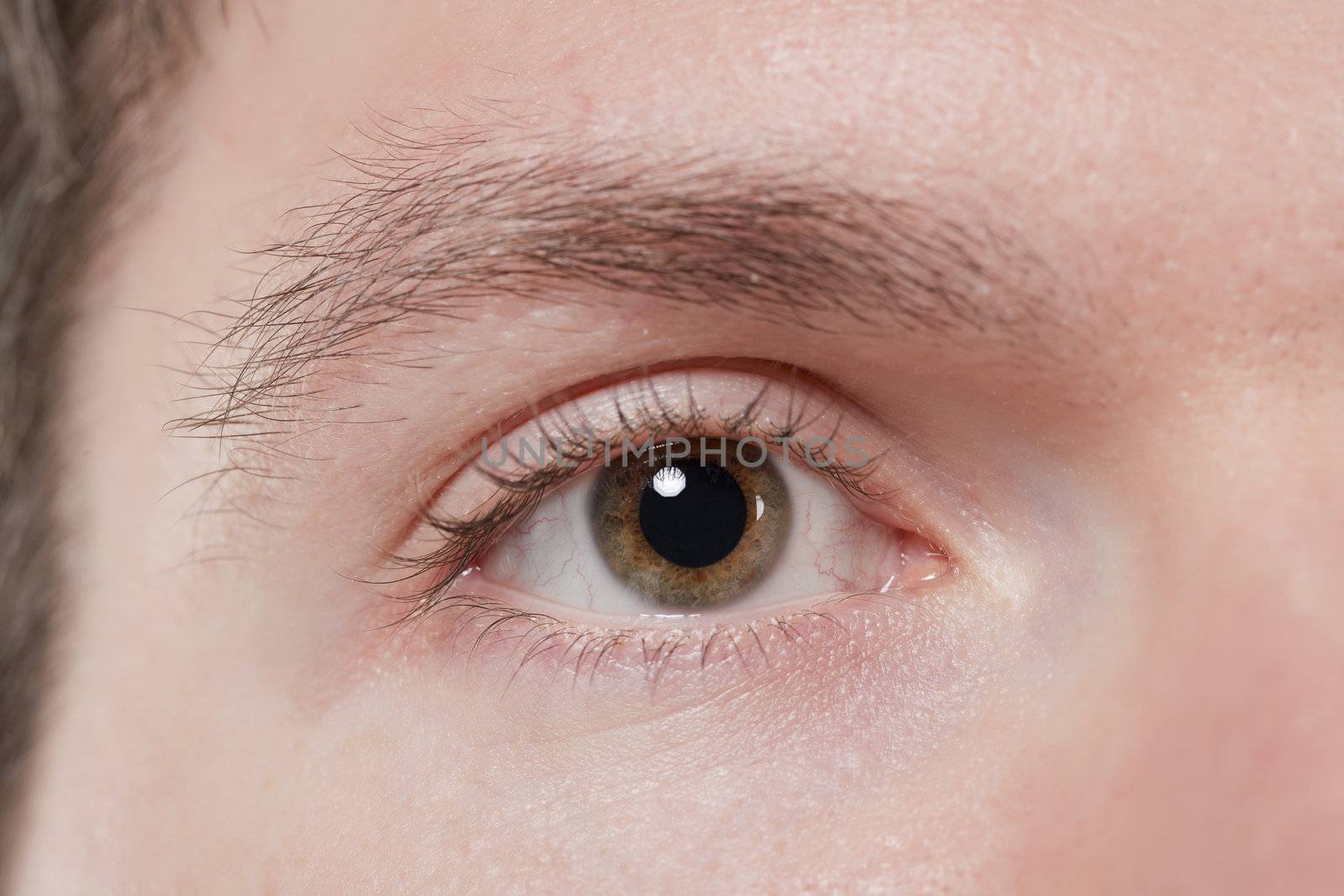 Close-up image of a man with brown eye