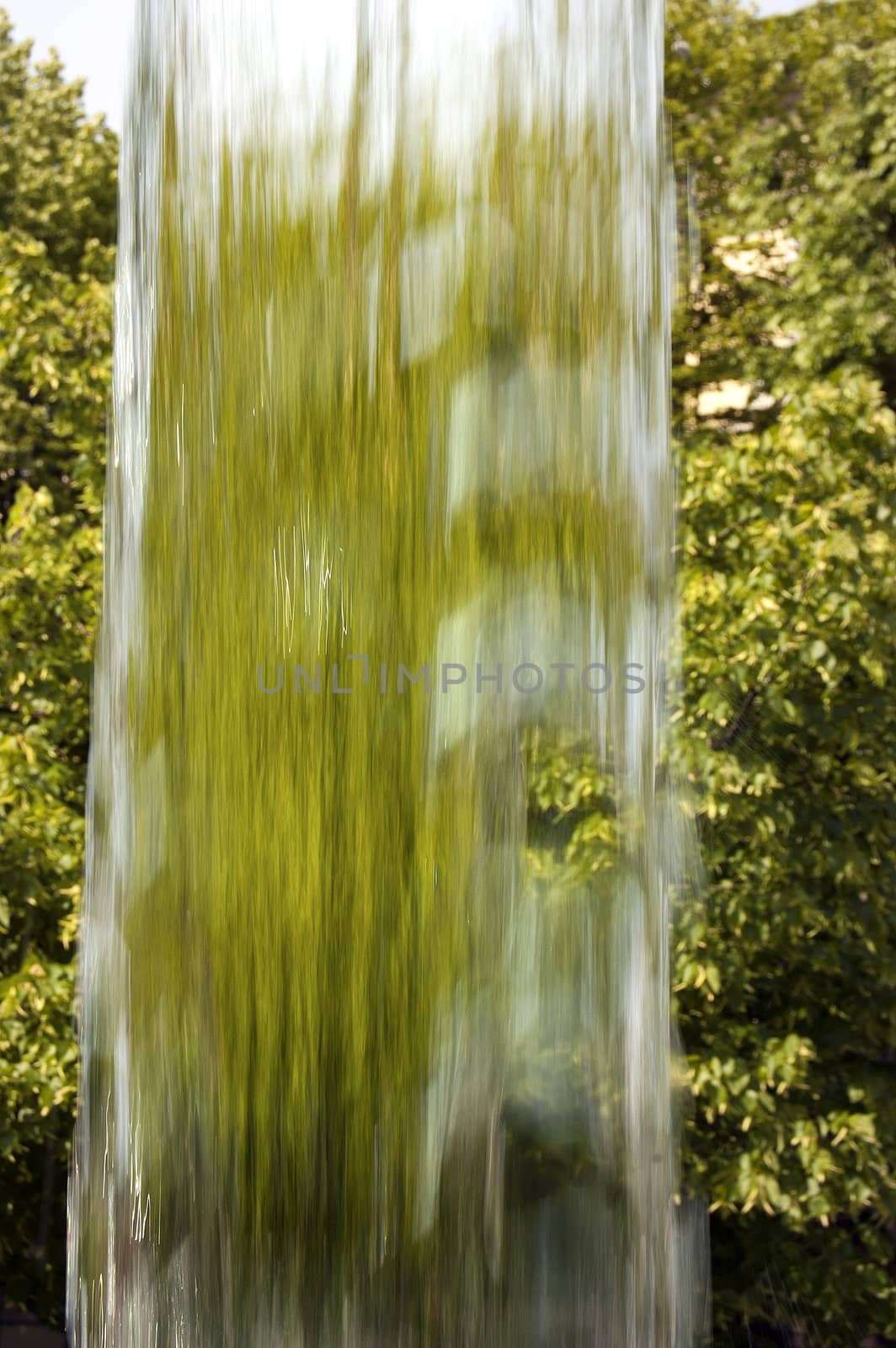 Flow of clear water on background made of green plants
