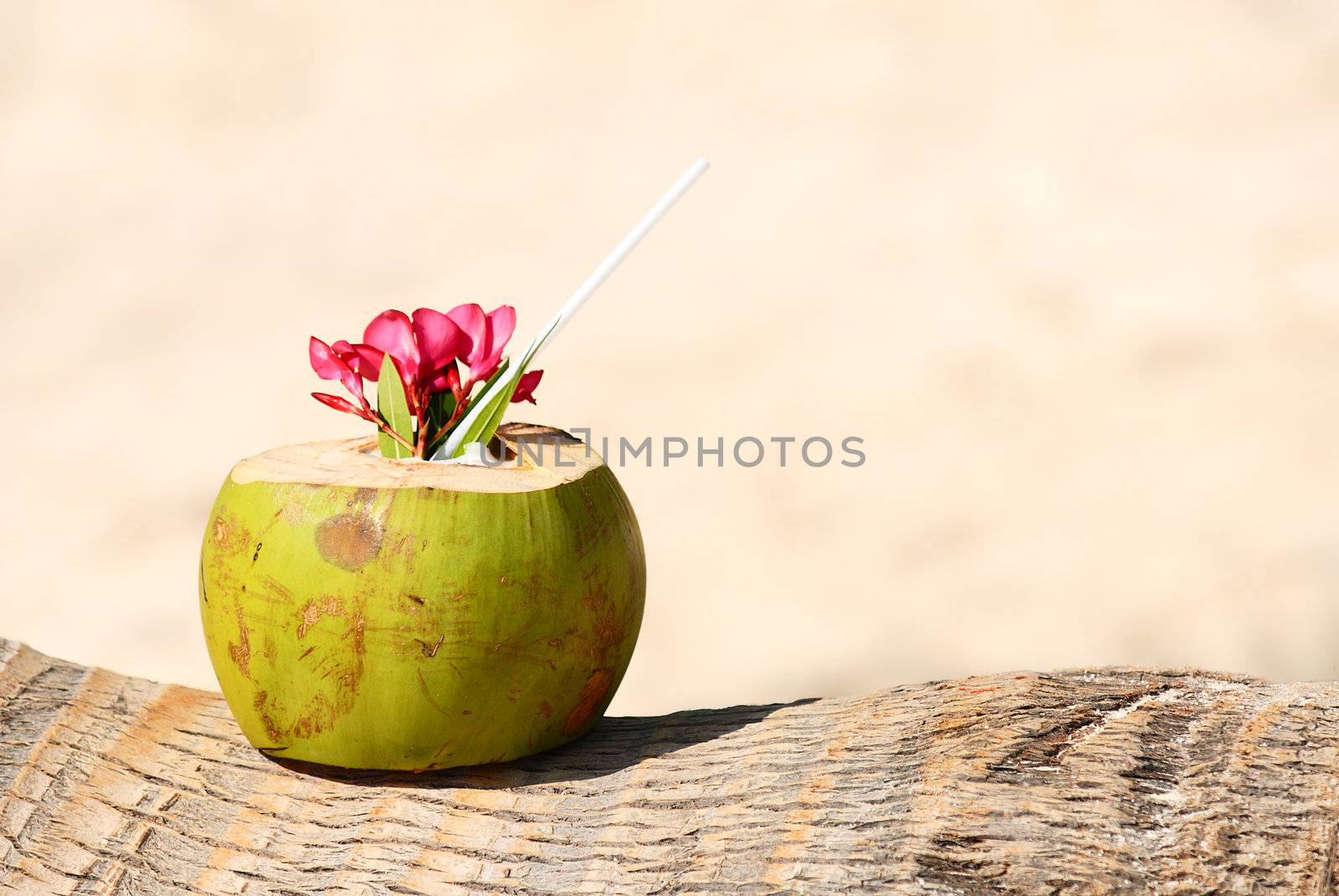 Coconut with drinking straw on a palm tree at the sea 