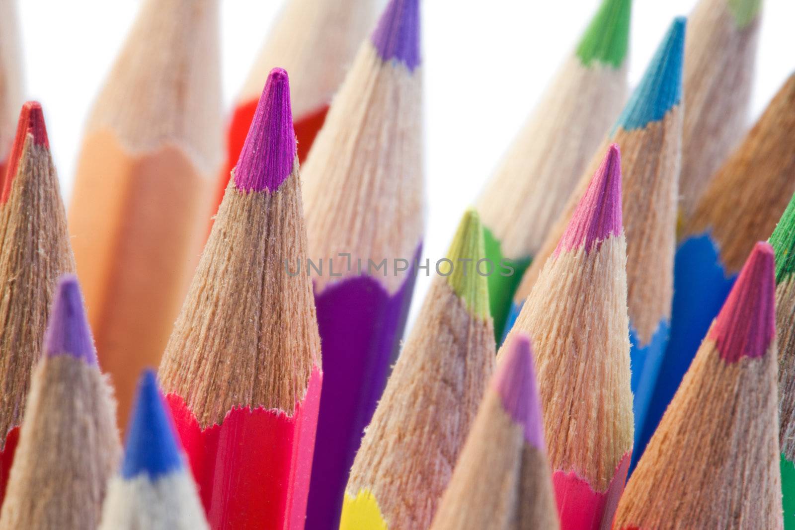 Close-up over the high part of color pencils on a white background