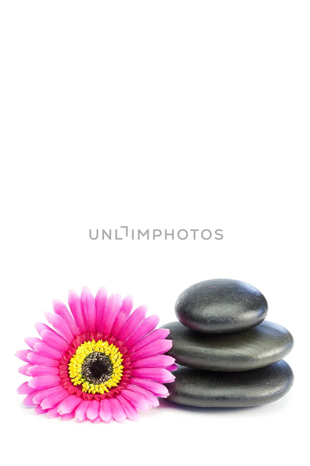 Pink and yellow flowertouching piled up pebbles by Wavebreakmedia