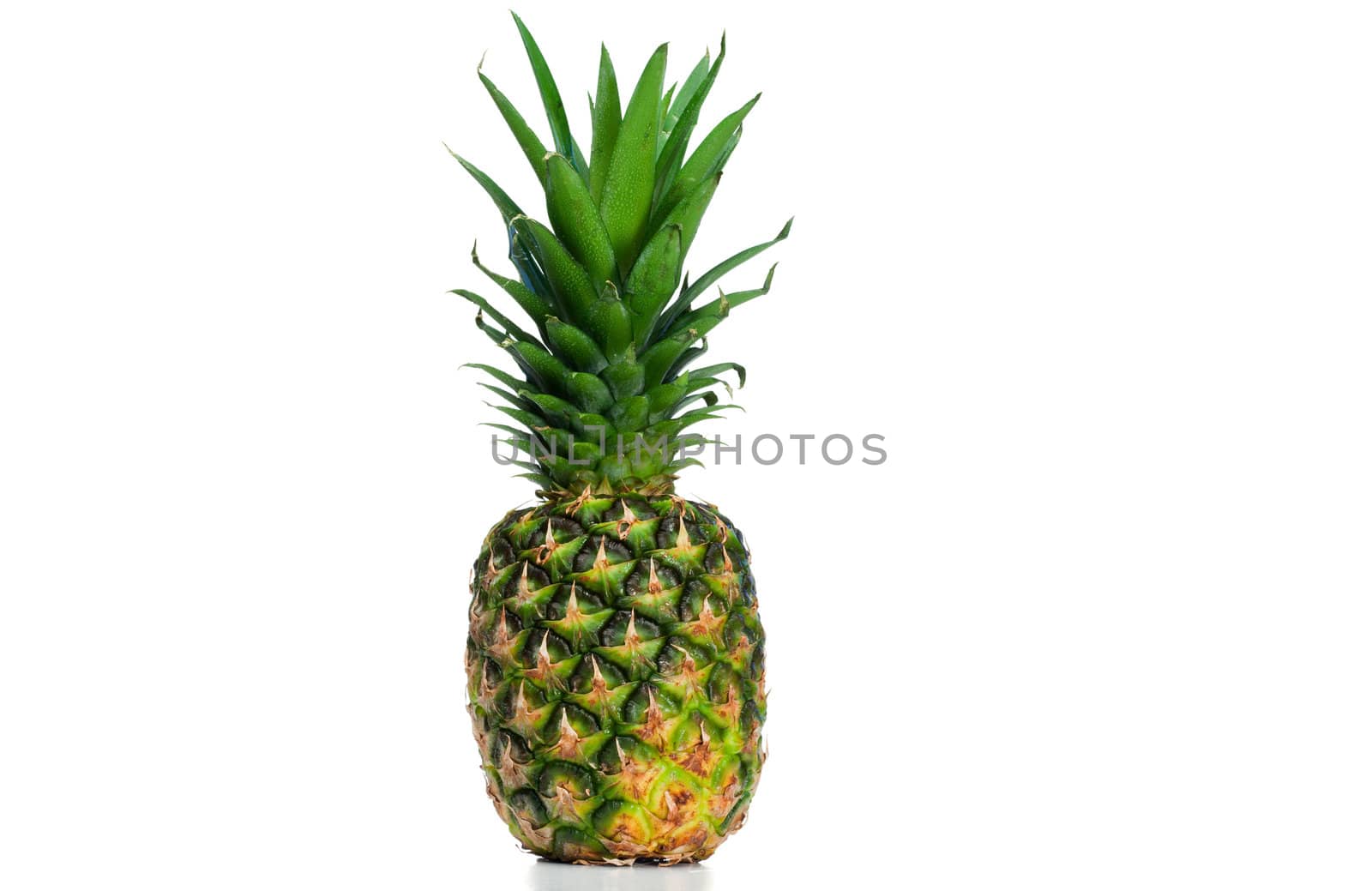 Pineapple upright on a white background