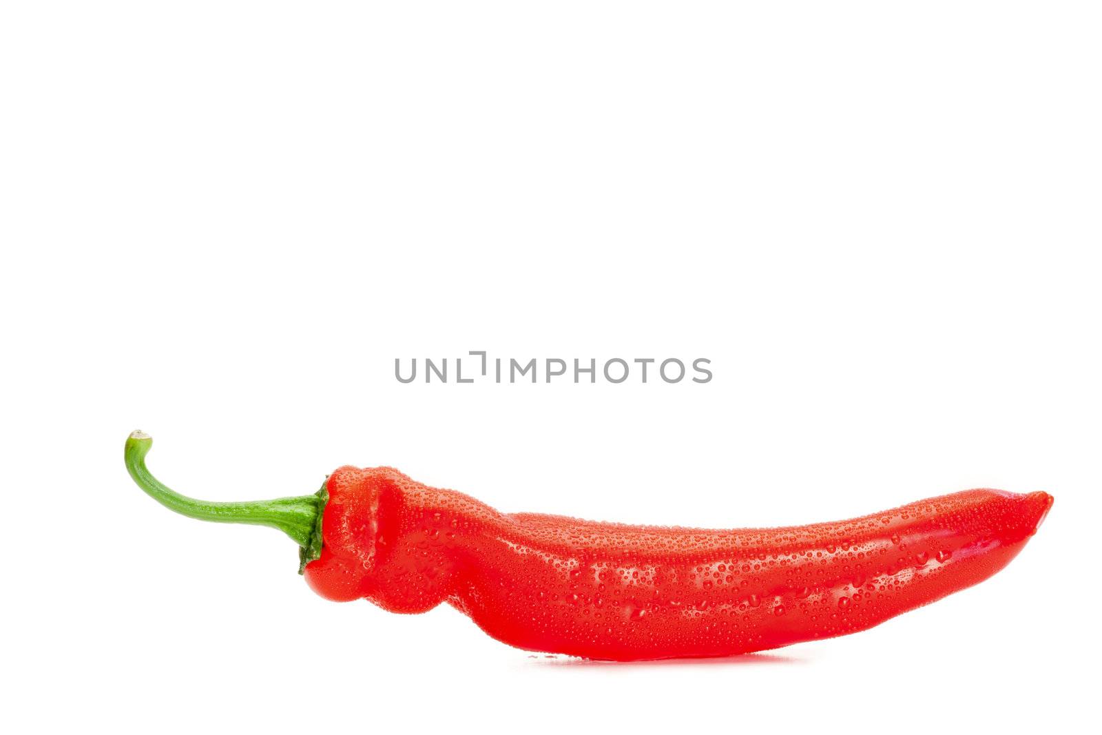 Red pepper on a white background