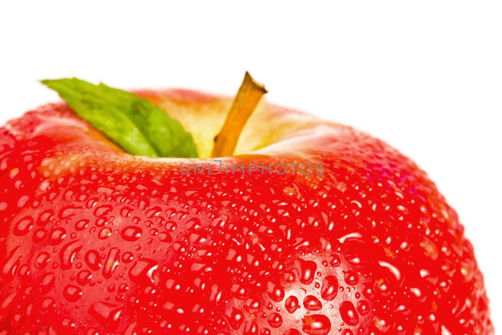 Top part of a red wet apple on a white background