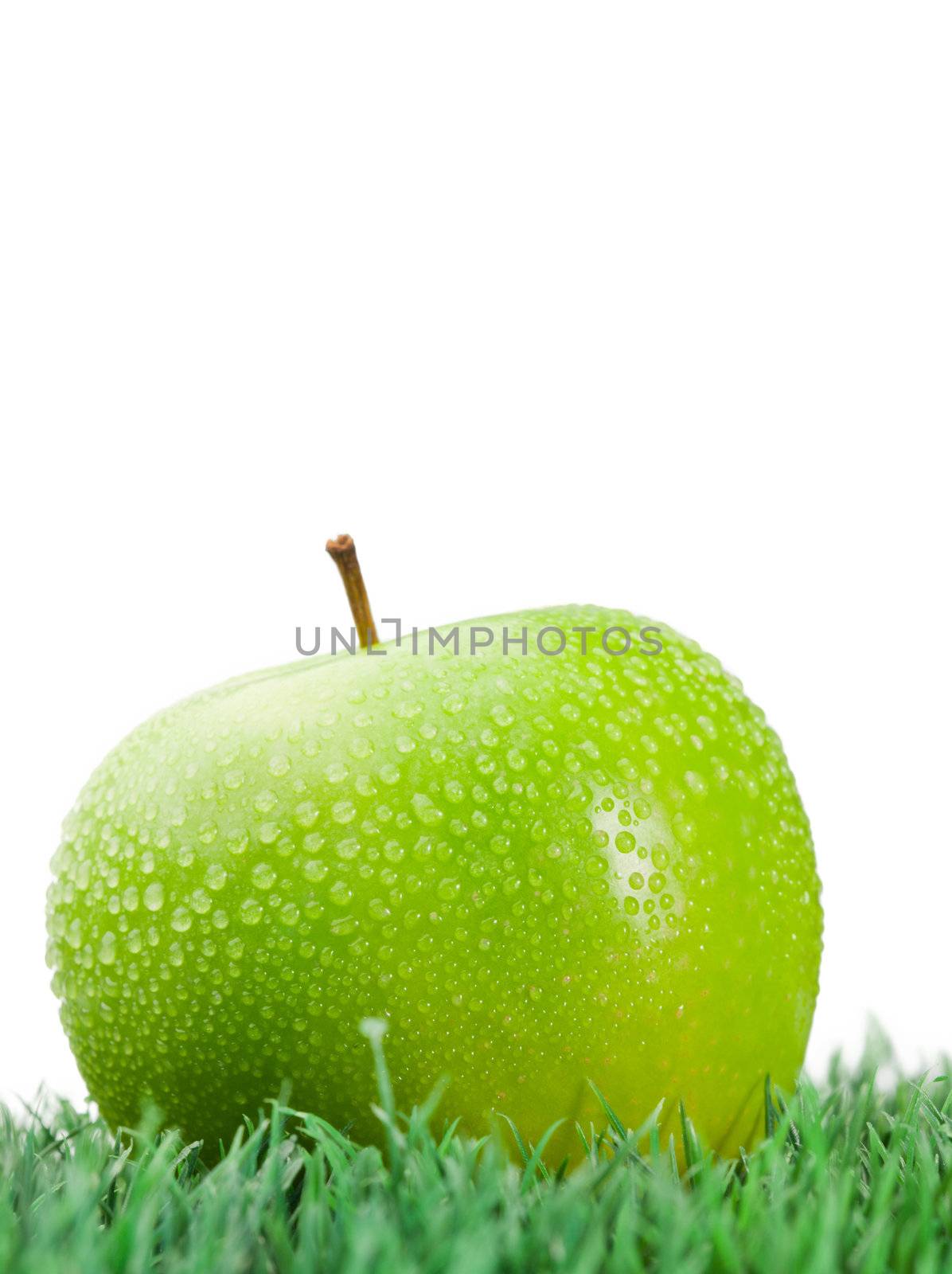 Green wet apple on grass on a white background