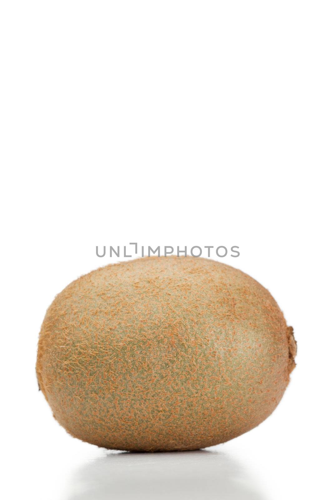 Kiwi on a white background