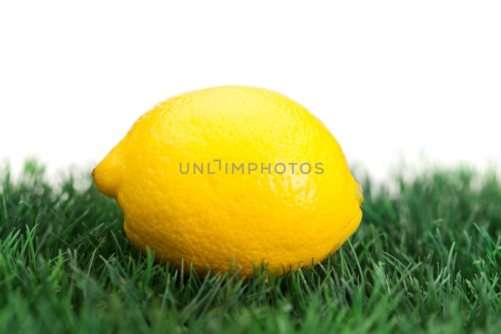 Yellow lemon on grass on a white background
