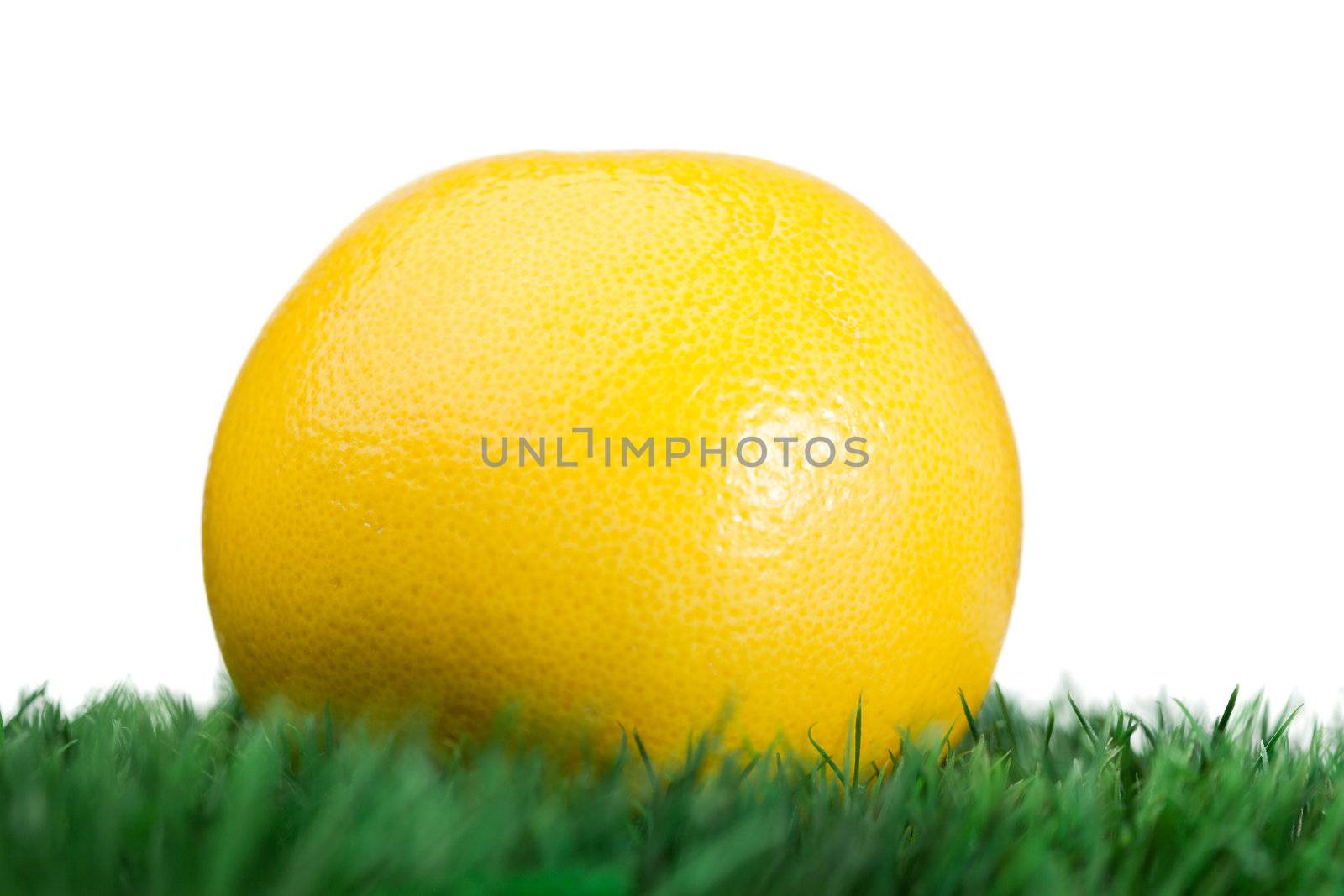 Grapefruit on grass on a white background