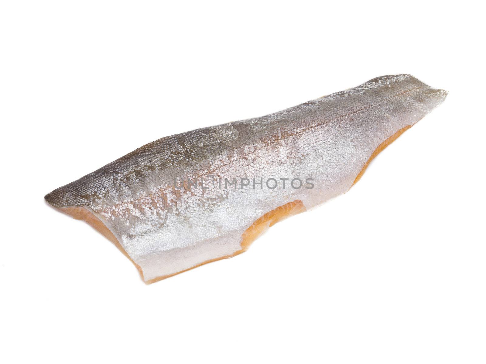 Rainbow Trout Skin by kozzi