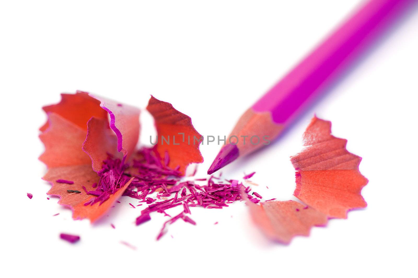 Purple pencil and its peelings on a white background