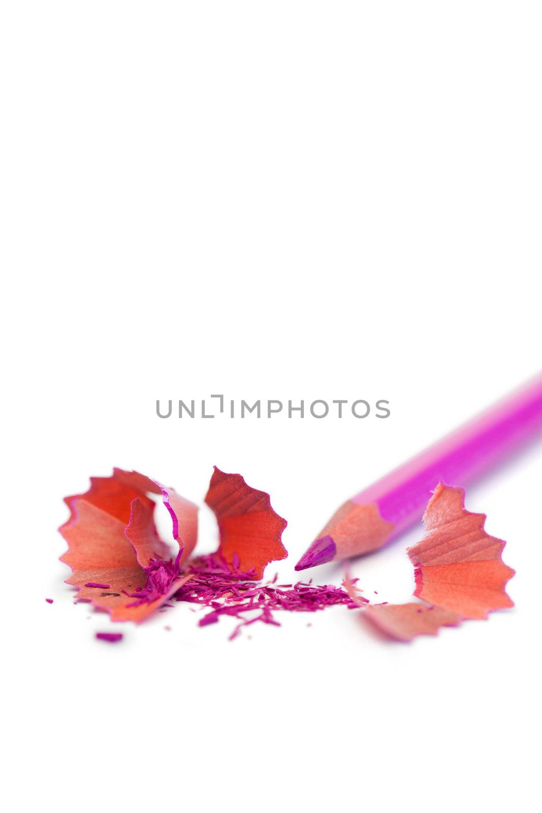 Purple pencil on a white background