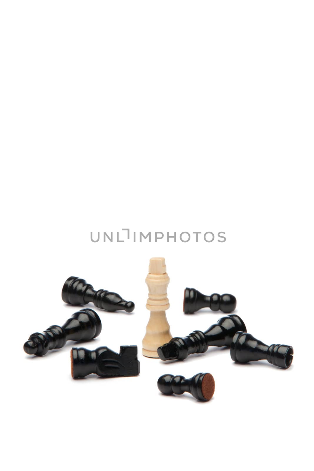 White king and black pieces of chess on a white background