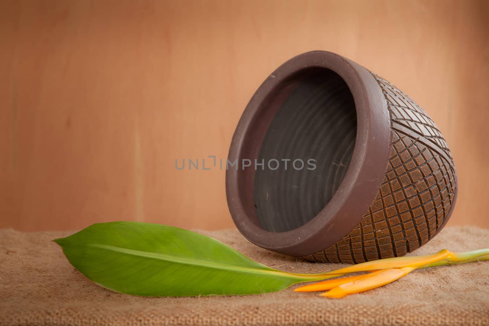 Brown Pot flower on fabric and wood background