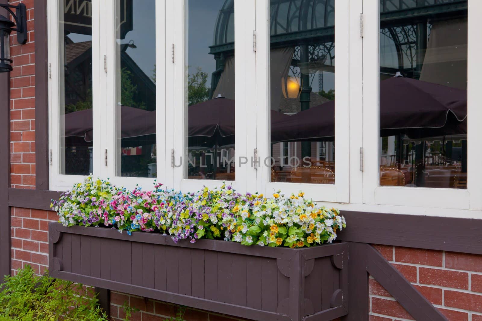 close-up window and flower in brick wall