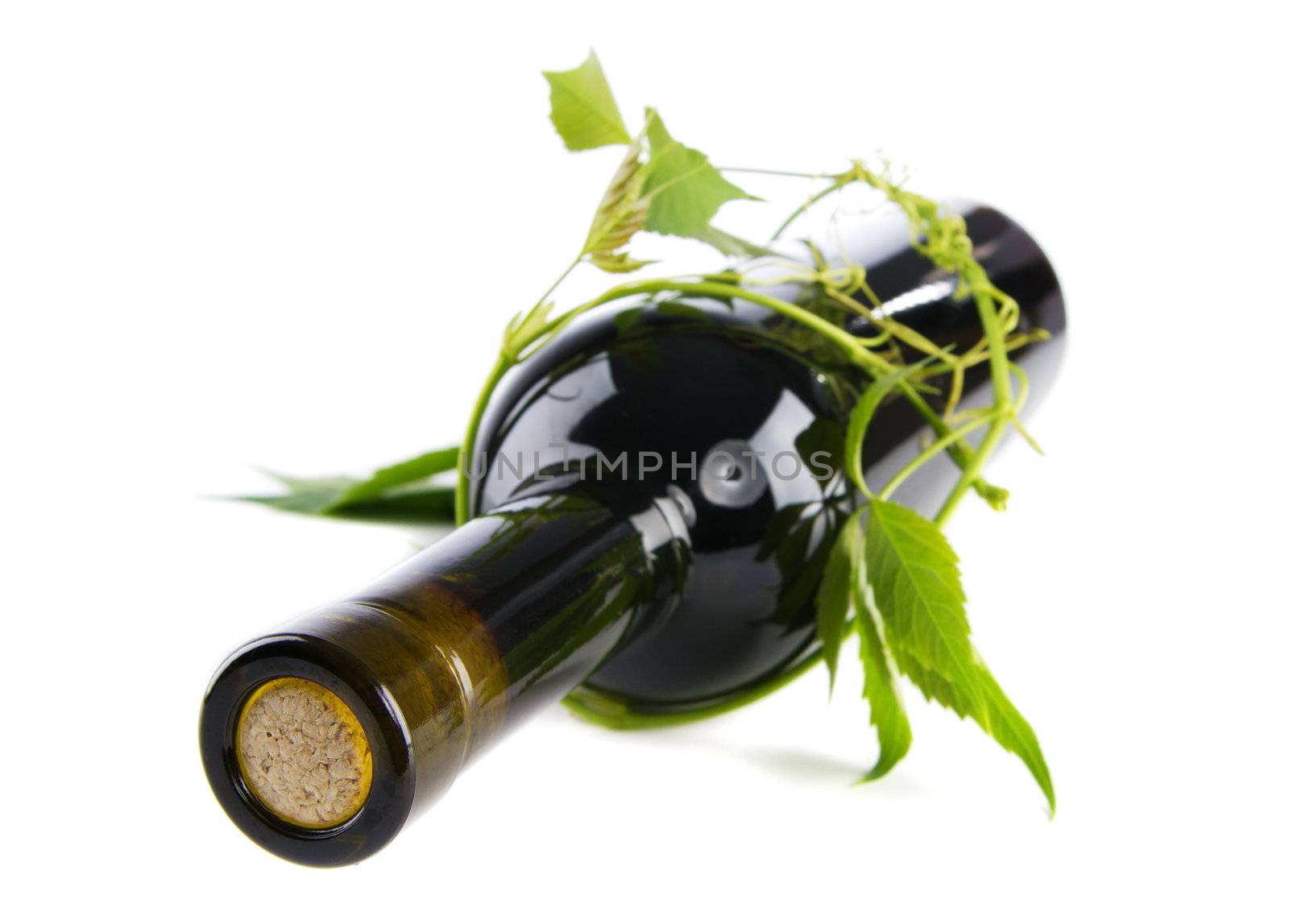 Bottle of wine in green leaves. white background