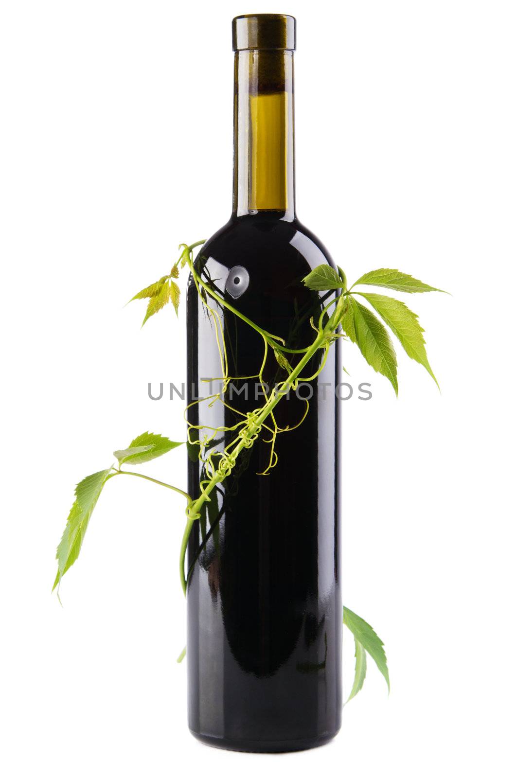 Bottle of wine in green leaves by Gdolgikh