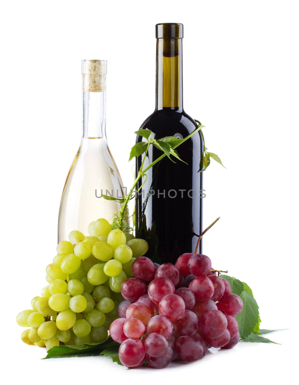 Bottles of red and white wine with grapes, white background